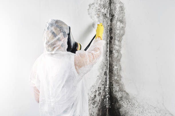 Water damage restoration mold remediation in Merrill, IA